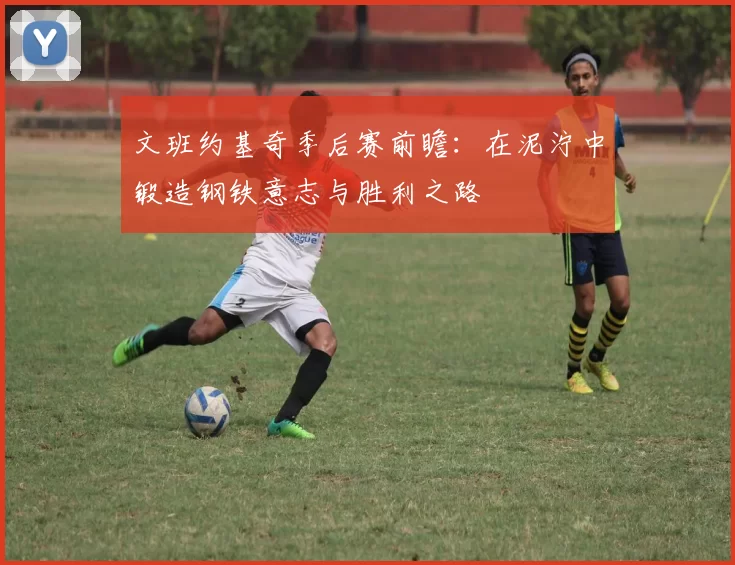 文班约基奇季后赛前瞻：在泥泞中锻造钢铁意志与胜利之路