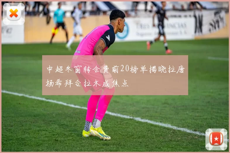 中超冬窗转会费前20榜单揭晓拉唐杨希拜合拉木成焦点